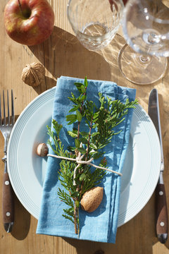 Place setting decor with evergreen plants, nuts and apple