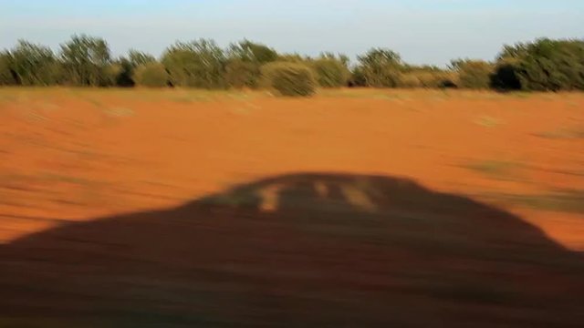 Traveling de seguimiento de la Sombra de un Coche en Paisaje de Verano
