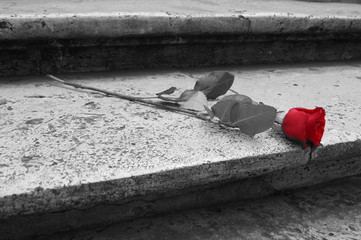 Black and white photo of a red rose on a stairs © anouknoordhuizen