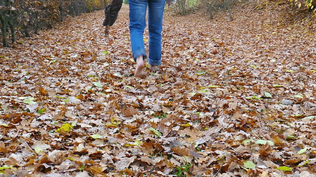 barefoot through the leaves
