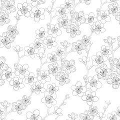 Fototapeta premium Monochrome seamless pattern with blooming cherry branches.