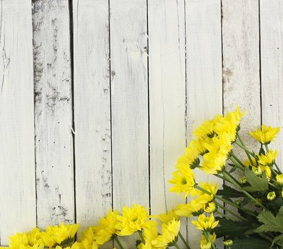 Yellow Flowers On White Wood Background