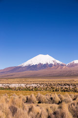 Parinacota volcano. High Andean landscape in the Andes.