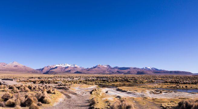 high Andean tundra landscape in the mountains of the Andes.