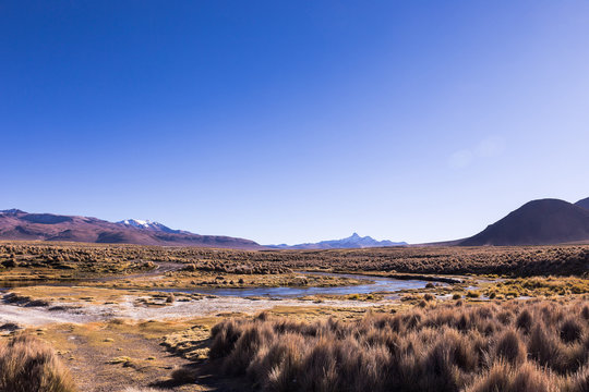 high Andean tundra landscape in the mountains of the Andes.