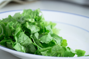 Plate with lettuce.