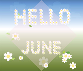 Hello June background with chamomiles. Vector
