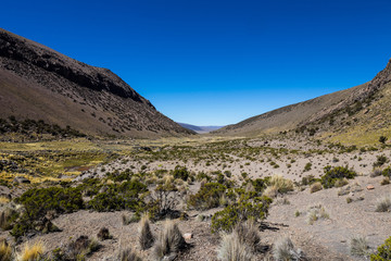 Fototapeta na wymiar Landscape of an arid valley in the Andean highlands