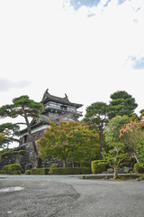 Fototapeta premium 丸岡城