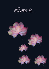 Flawless flowers love. Stylized, transparent and multicolored pastel flowers background. Vector