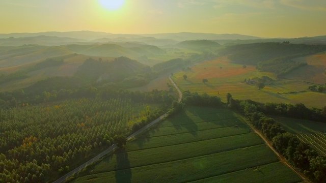 Foggy hills and trees aerial view in Tuscany Italy