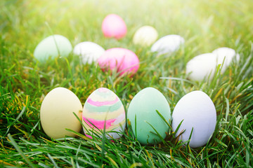 Easter eggs in green grass, easter concept