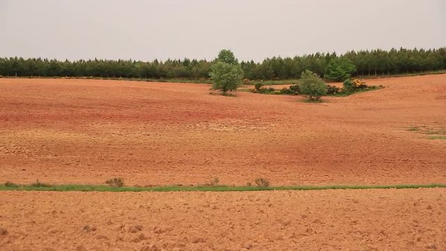Tierras de Cultivo Aradas Recientemente y Pinar