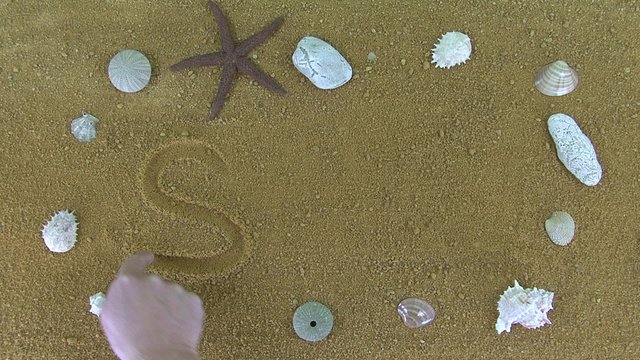 The word "sea" written word finger in the sand. Bordered by rocks and seashell