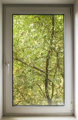 pvc window, which you can see green of a tree park in the ecologically clean area of the city with fresh air