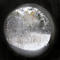 зимний пейзаж через окно
