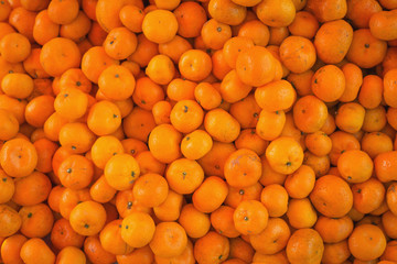 Kumquats, cumquats