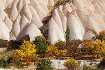 Rock formations of Cappadocia and fruit trees in autumn