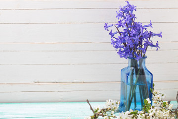 Background with  blue flowers  and white spring flowering branch