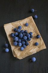 Wild berry thorn on a parchment