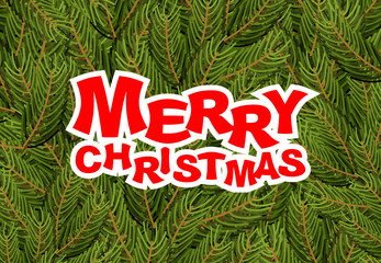 Merry Christmas. pine branches. Holiday greeting card. Fresh gre
