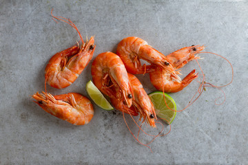Shrimps