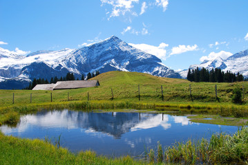 Fototapeta na wymiar beautiful Swiss landscape in the alps/ beautiful Refection of mountain in lake in landscape in the alps in summer.