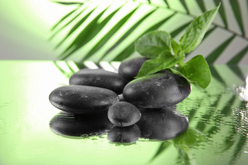 Obraz na płótnie Canvas Spa stones and green palm branch on light green background