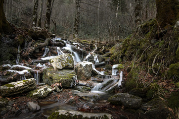 Obraz premium Road trip to Tennessee