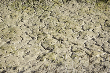 Cracked earth sunny