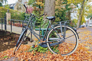 Fototapeta premium Classic Dutch bicycle parked against a tree in autumn, Gouda, The Netherlands