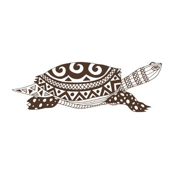 Decorative turtle isolated on white background. Beautiful ornament.