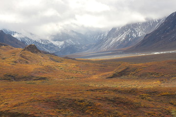 Landschaft-Alaska