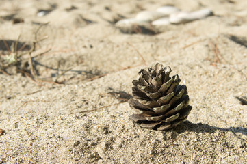 Cone in Sand