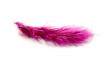 Feather isolated on a white