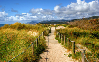 Fototapeta na wymiar Boardwalk through the sand dunes on beach in Portugal