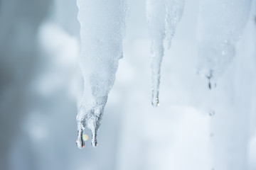 Naklejka na ściany i meble Winter background. Ice stalactites that drips