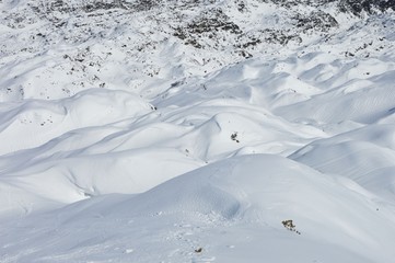 Fototapeta na wymiar snowfield