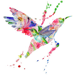 hummingbird multicolored on white background © elennadzen