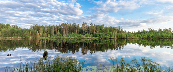 летняя панорама леса с озером © 7ynp100