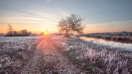 Deurstickers Mistige winterzonsopgang © alexugalek