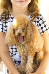 Девочка с зевающим пуделем