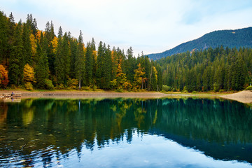 Beautiful reflection of trees in mountain forest lake