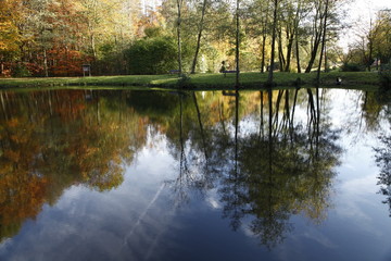 Pond landscape in autumn, Bad Iburg, Osnabrueck country, Lower Saxony, Germany