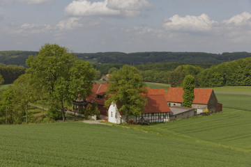 Farm in May, Osnabrueck country region, Lower Saxony, Germany, Europe