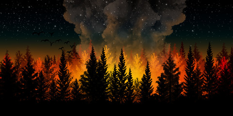 Wildfires at night - obrazy, fototapety, plakaty