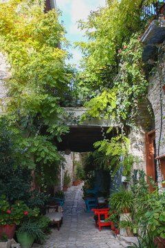 The lush garden in the tiny courtyard, Lefkara, Cyprus