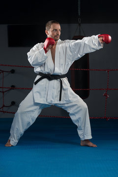 Taekwondo Fighter Expert With Fight Stance