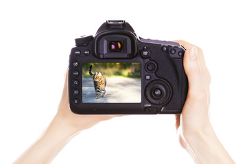 Photographer with camera at work, isolated on white