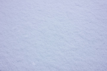 Obraz premium Fresh pure white snow texture background